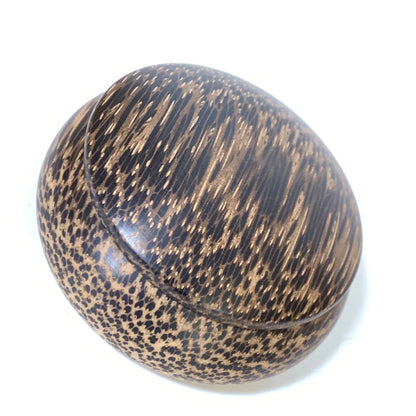 椰子の木（檳榔樹）の香合　60mm　まんじゅう型　1タッチ式