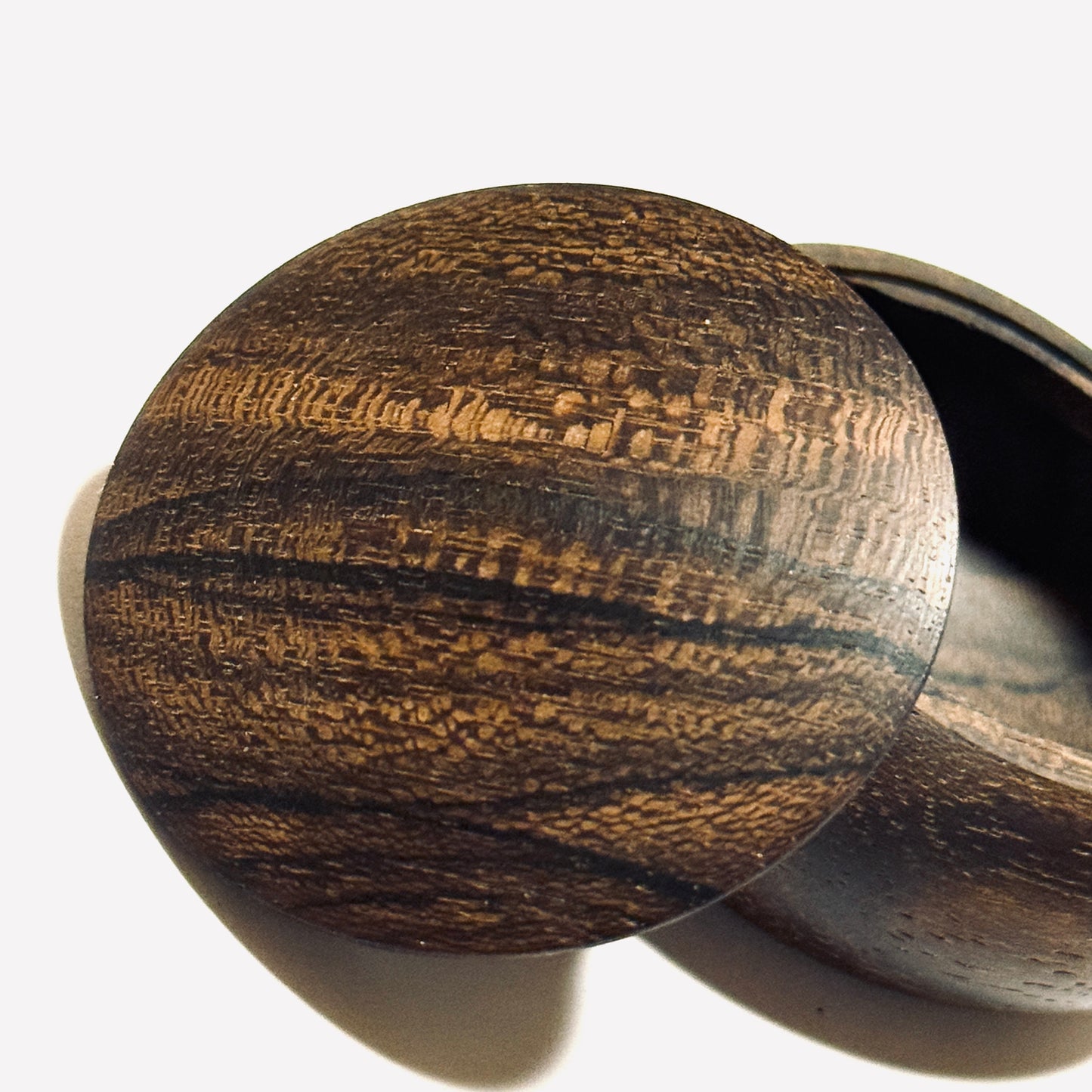 Siamese Persimmon 50mm Manju-shaped 1-touch type