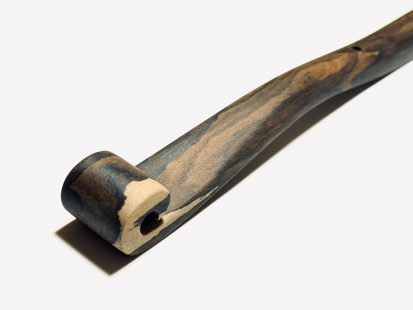 Siamese Persimmon Scepter, 8 inches (240 mm), Premium Grade