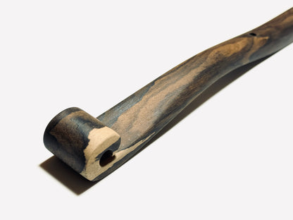 Siamese Persimmon Scepter, 8 inches (240 mm), Premium Grade