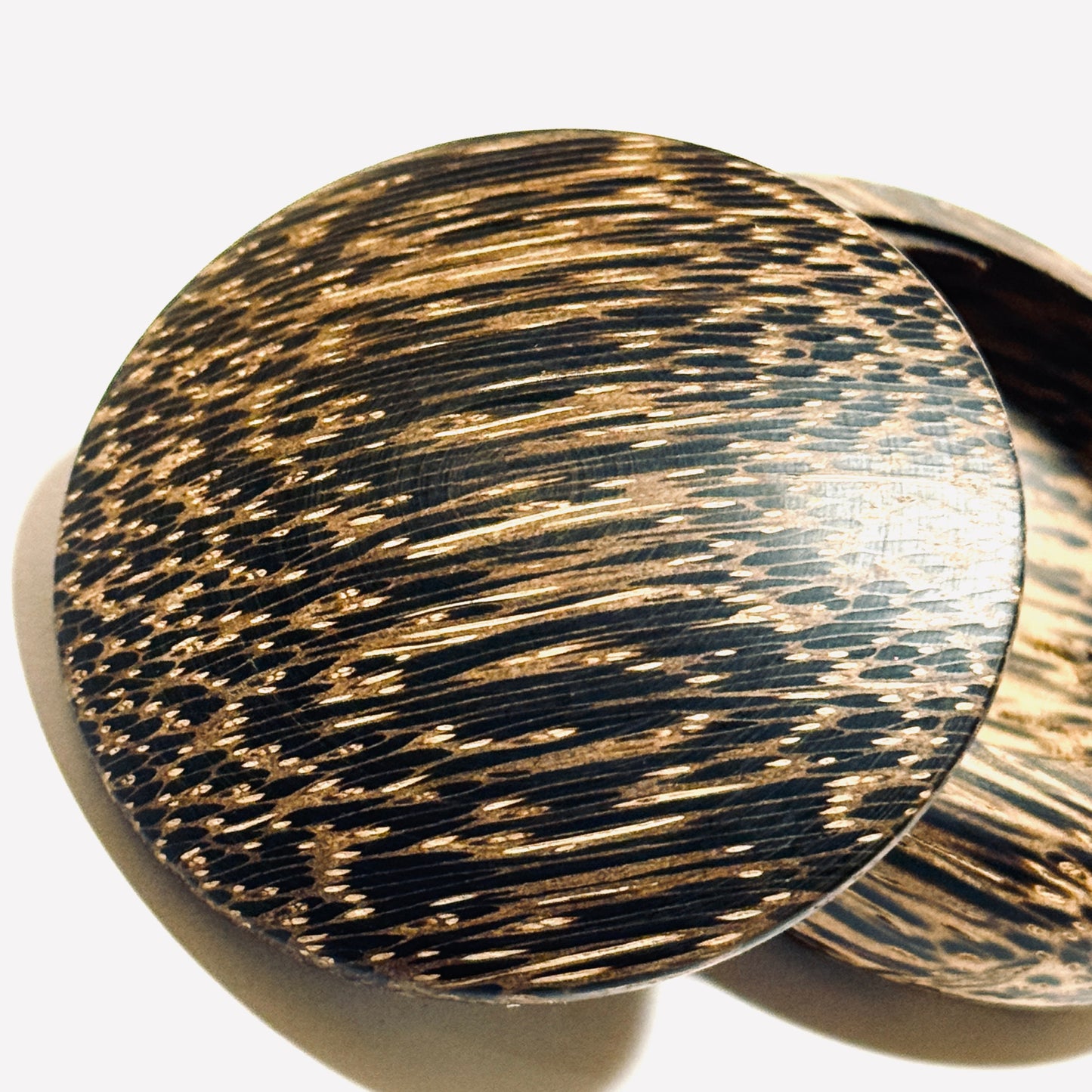 Incense box shaped like a palm tree (betel nut tree), 60mm, bun-shaped, one-touch operation.